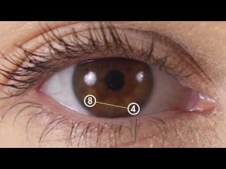 Air Optix Plus HydraGlyde for Astigmatism (3 lenses)