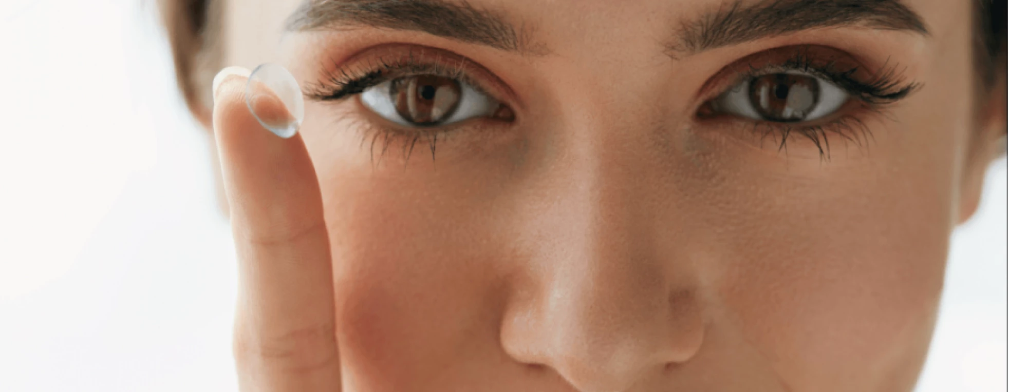 Meilleures lentilles de contact 2019