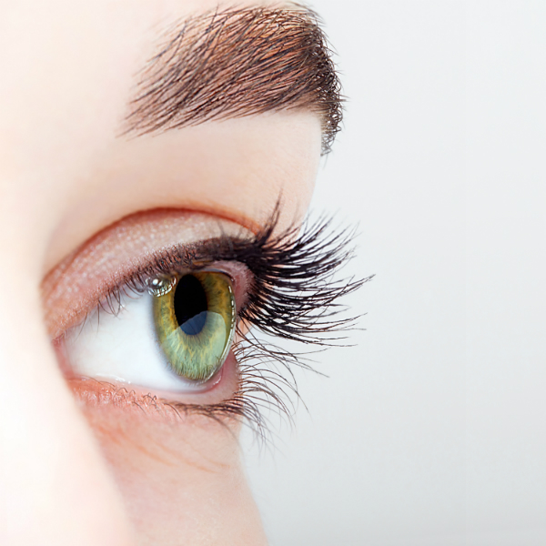 Je-nach-Lichtverhältnis-und-Eng-oder-Weitstand-der-Pupille-werden-Lichtstrahlen-ausgeblendet