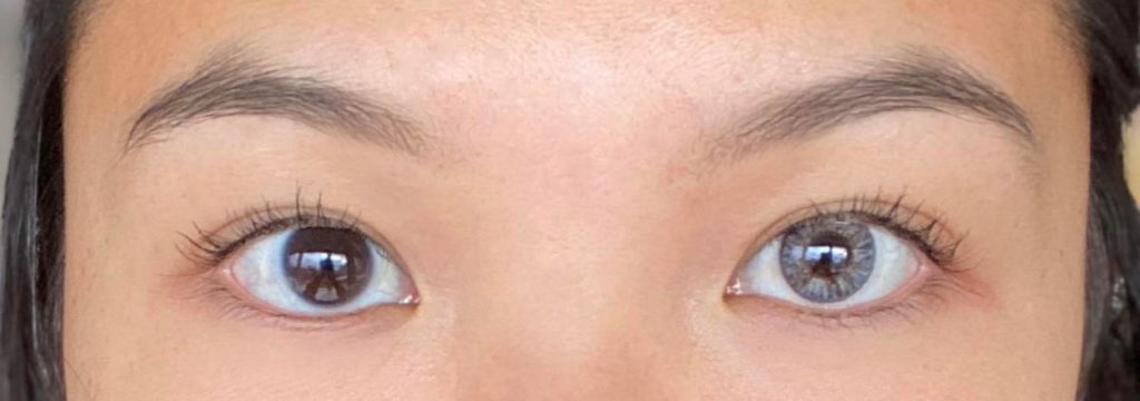 Freshlook Colorblends Gray